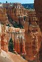 C006 N.P. Bryce canyon